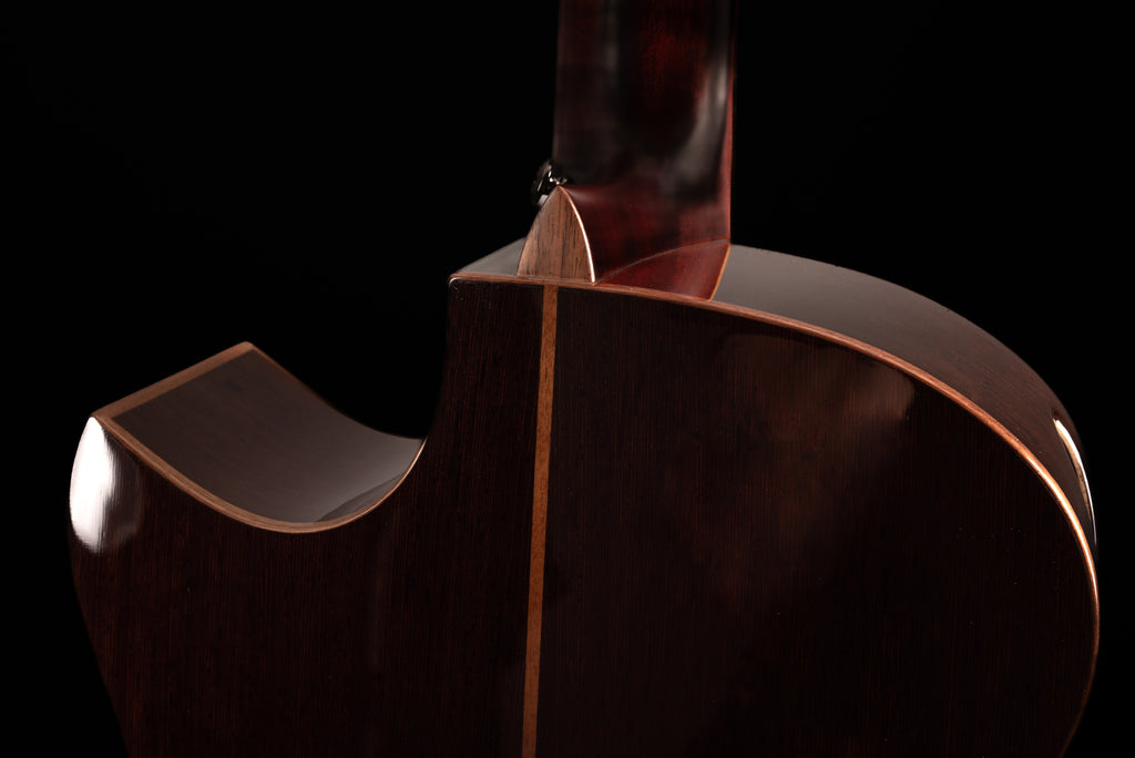 AVENIR 25 SERIES AUDITORIUM ENGELMANN SPRUCE WENGE FAN FRET