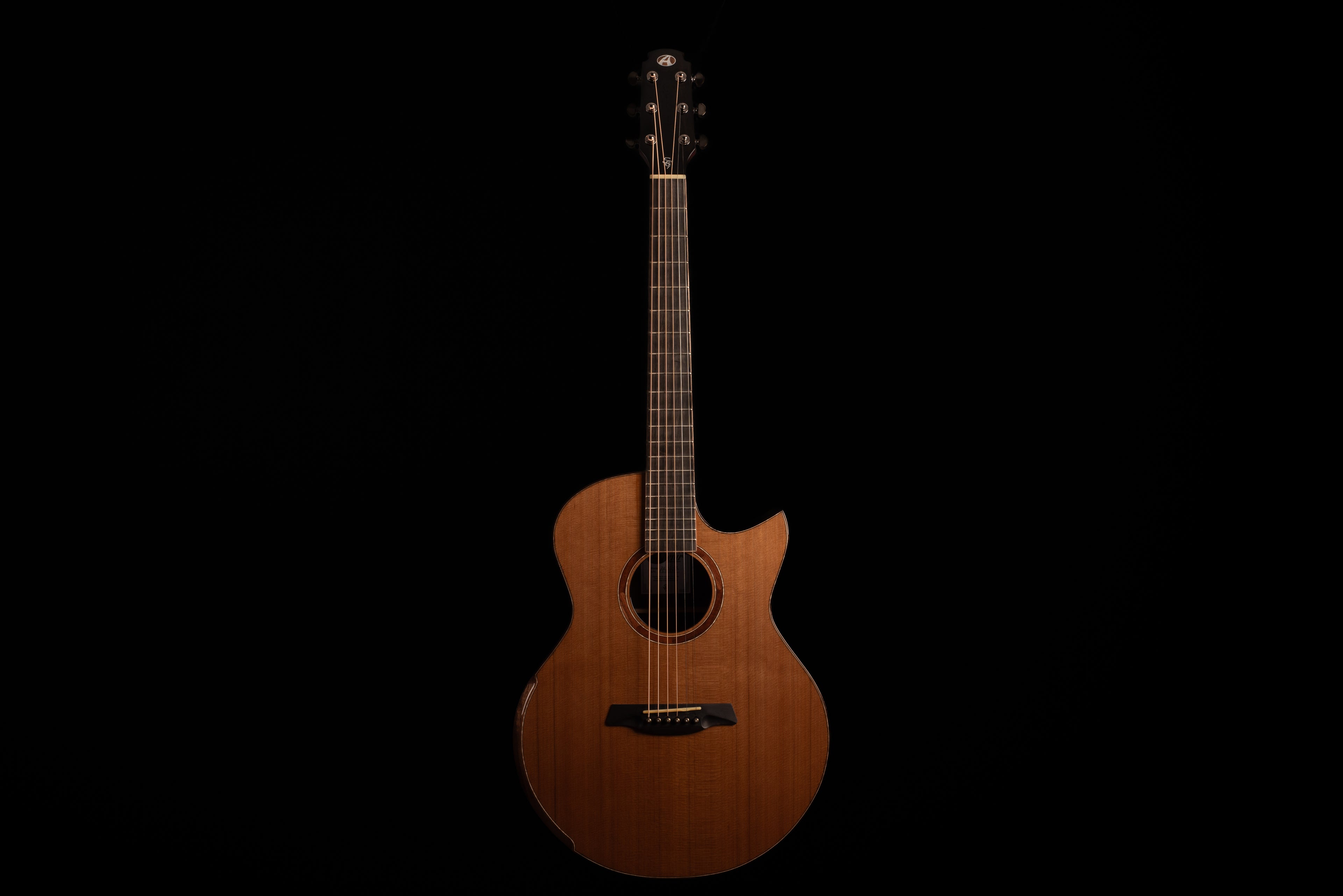 AVENIR 20 SERIES AUDITORIUM CEDAR ROSEWOOD