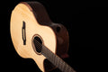 AVENIR 25 SERIES AUDITORIUM ENGELMANN SPRUCE WENGE FAN FRET