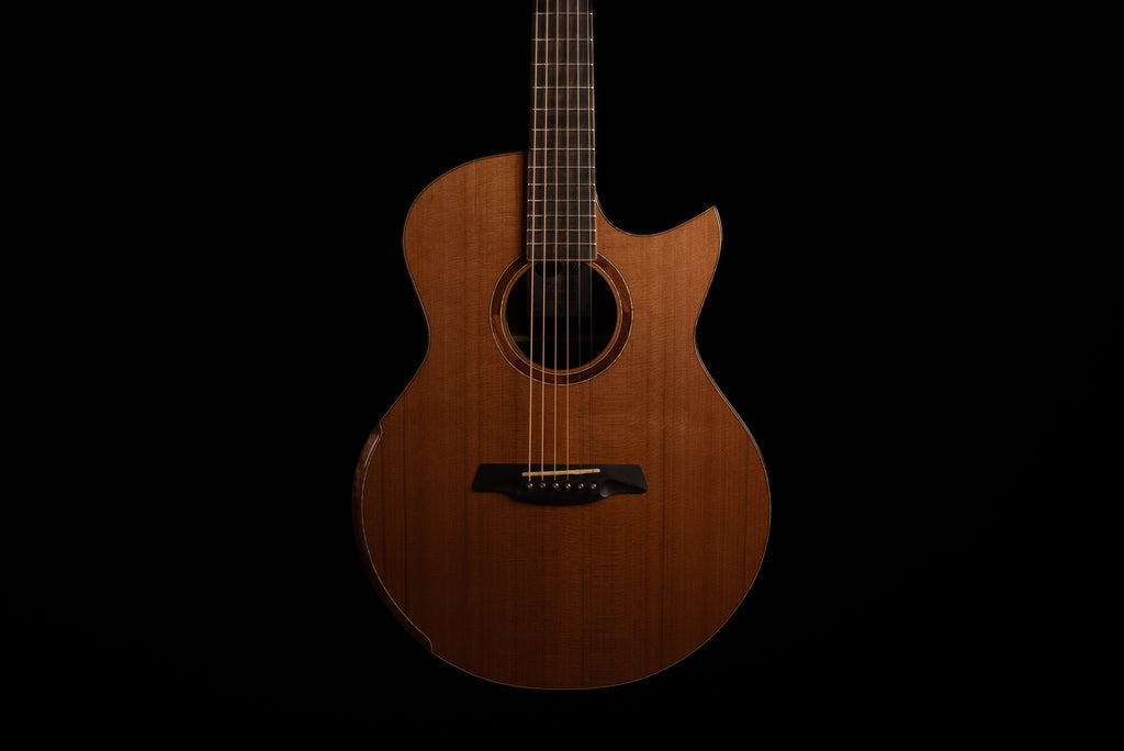 AVENIR 20 SERIES AUDITORIUM CEDAR ROSEWOOD