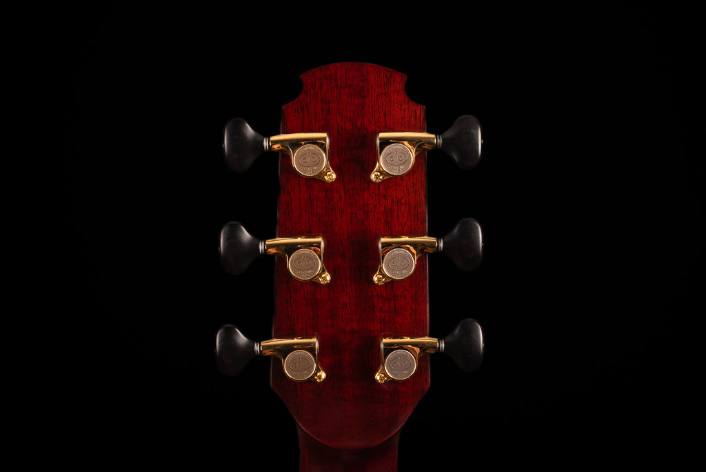 AVENIR 25 SERIES AUDITORIUM CEDAR WENGE FAN FRET