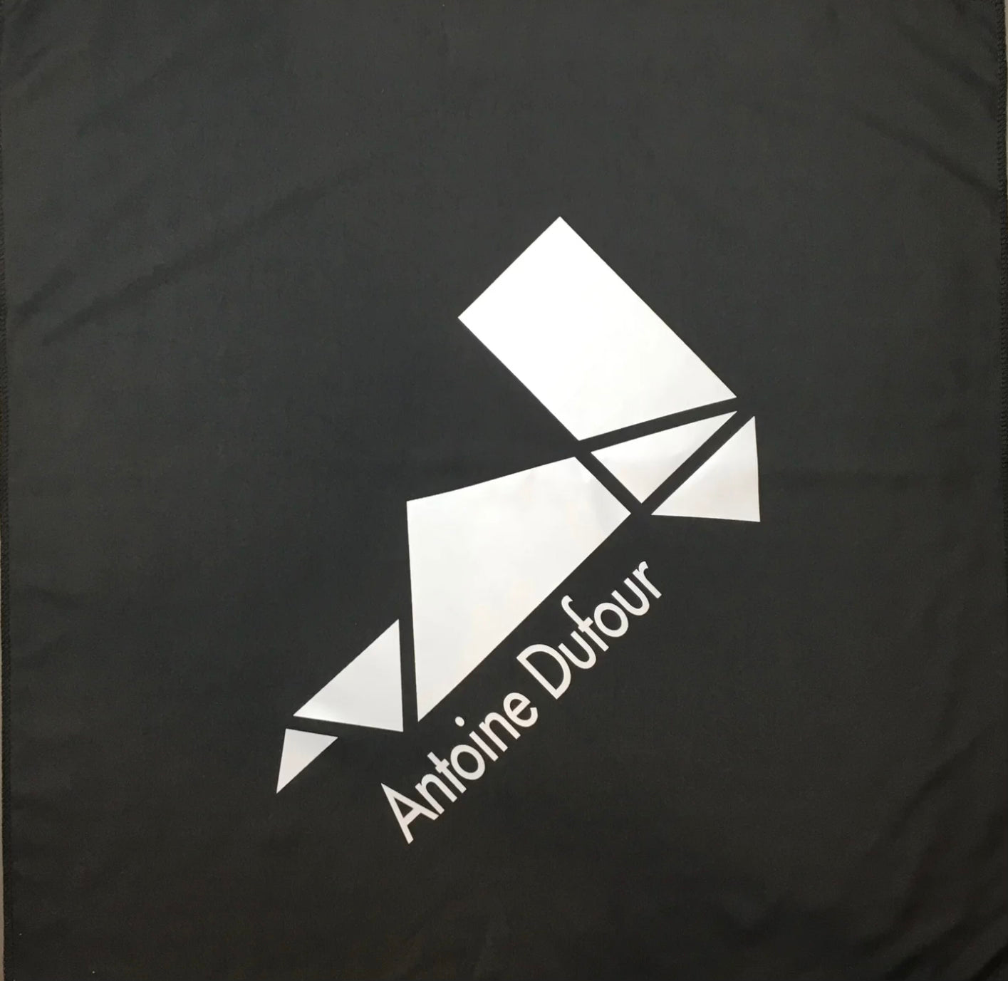 AD Logo Bandana
